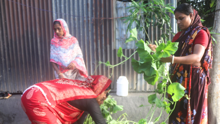 பரிசால் மாவட்டத்தின் அகைல்ஜாரா உபஜில்லாவின் ஆத்திபட்டா என்ற அமைதியான கிராமத்தில், 60 வயதான விவசாயி முகம்மது சோலமான் தனது காய்கறித் தோட்டத்தை அக்கறையுடன், பக்தியுடன் பராமரித்து வருகிறார்