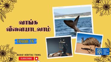 gameshow, vaangavilayadalam